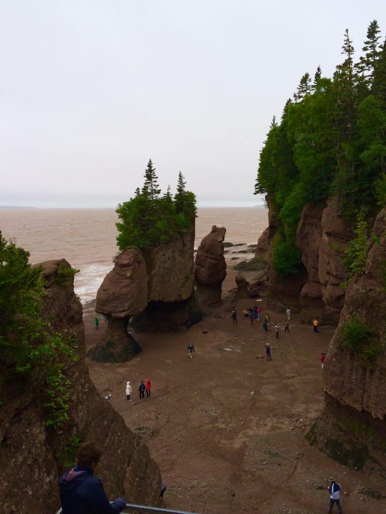 What to do at the Bay of Fundy with kids. 