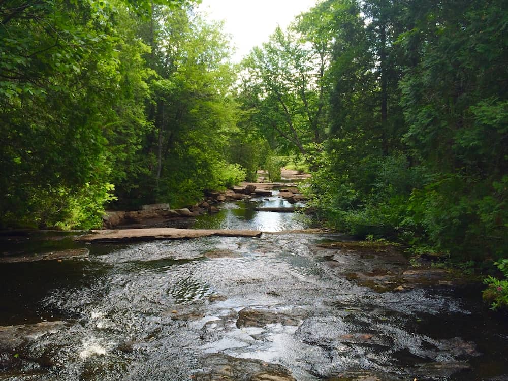 What to do in La Mauricie National Park with kids.