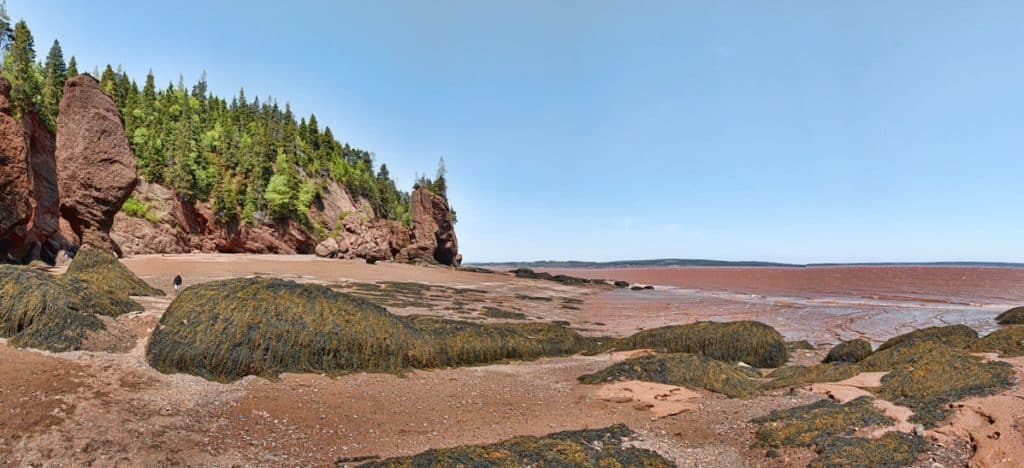 Walk on the ocean floor. What to do at the Bay of Fundy with kids.