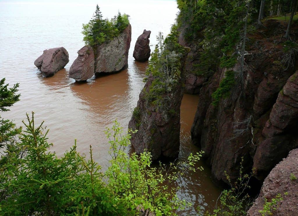 what to do at the Bay of Fundy with kids. 