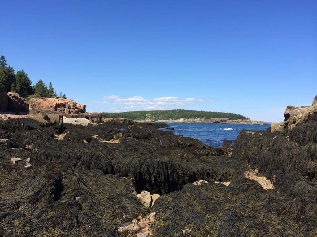 How to see Acadia in One Day.