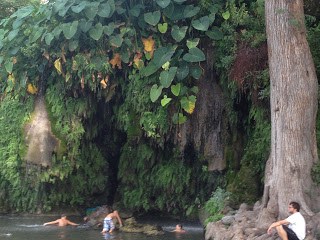 The natural swimming hole is the draw at Krause Springs, with its century-old Cypress trees.