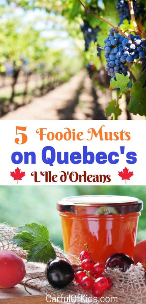 Find foodie destination on Quebec's L'Ile d"Orleans with a vineyard and a purveyor of fine jams and jellies, just a few minutes away from Quebec City. 