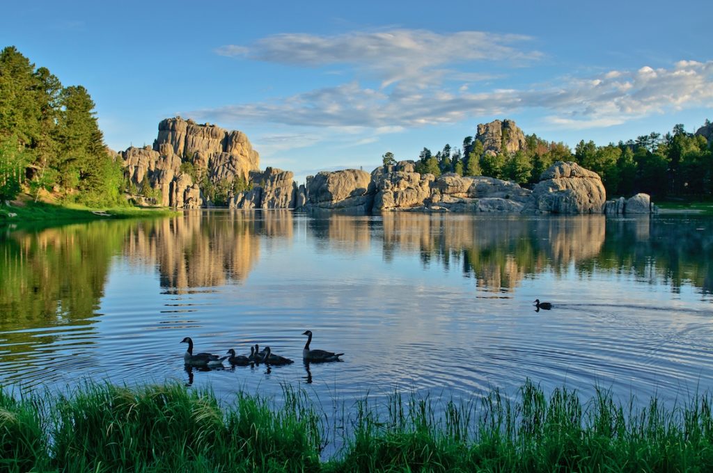 South Dakota's Black Hills, Black Hills for kids, Custer State Park