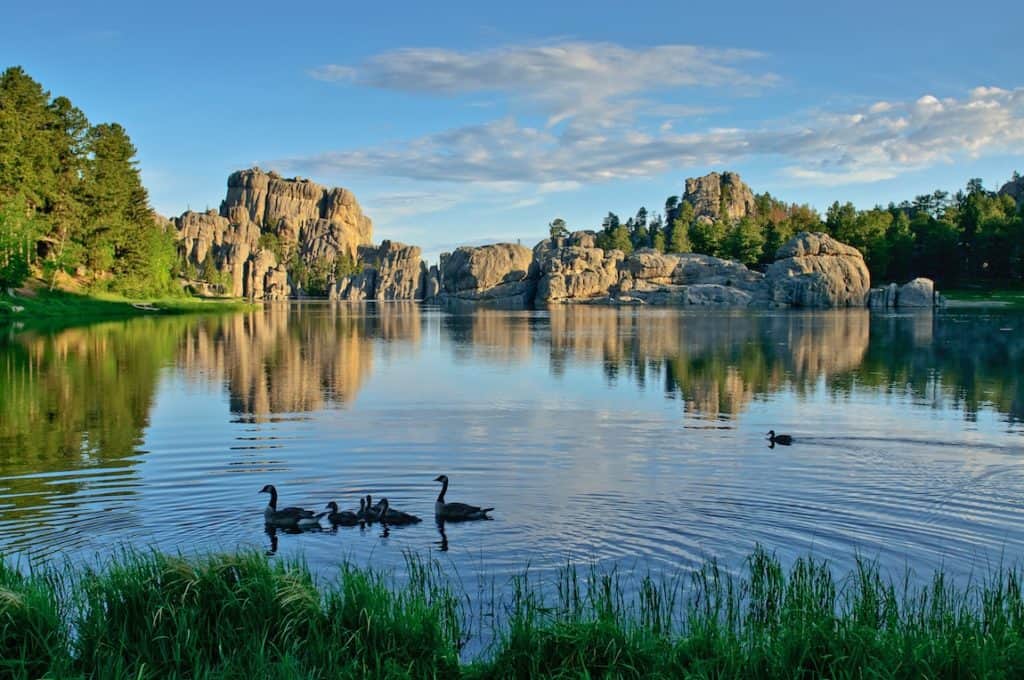 Top 9 Things to do in Custer State Park with Kids