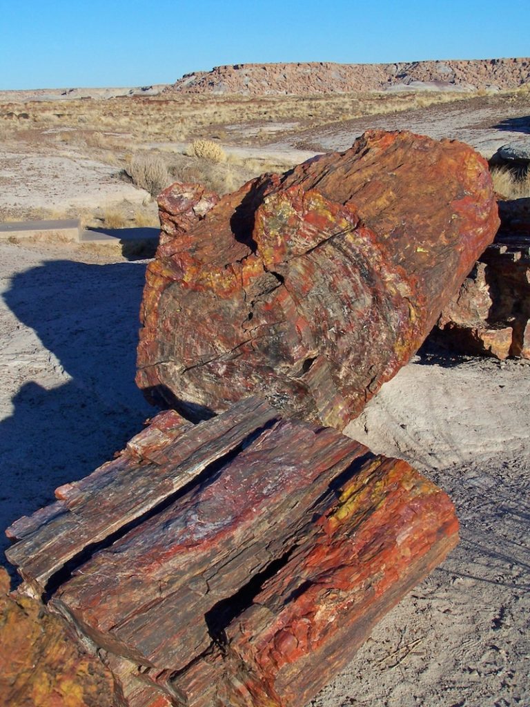 Explore the Arizona family road trip stop at Petrified Forest National Park.
