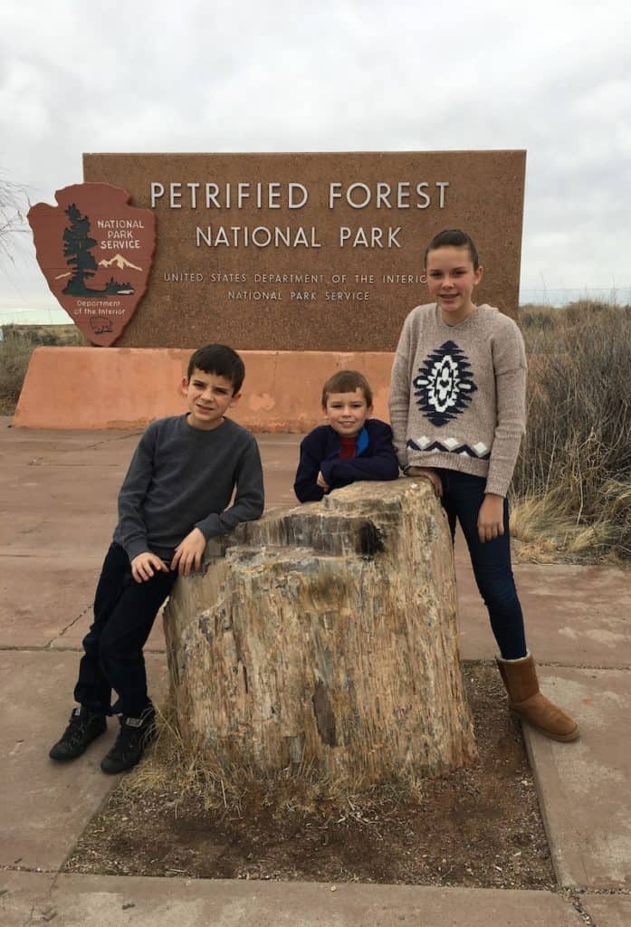 An Arizona Road Trip destination at Petrified Forest National Park. 