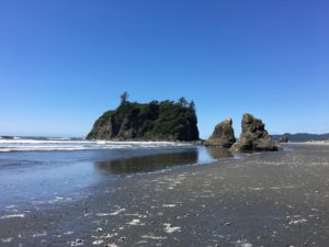 Explore the beaches of Olympic National Park with kids.