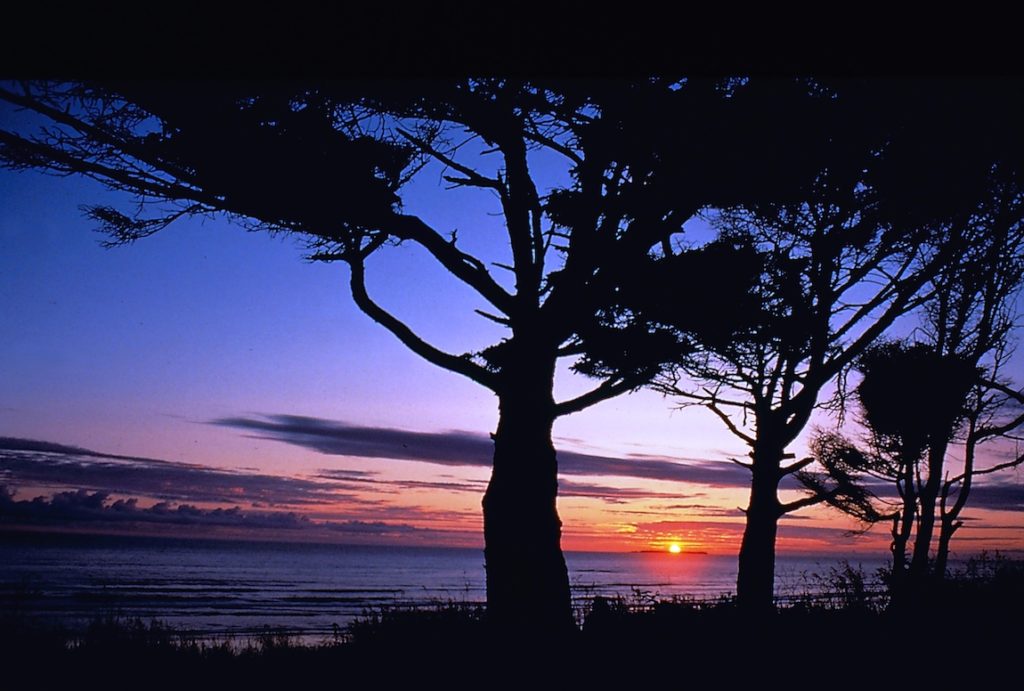 From the Mountains to the Beach: 11 Cool Things to Do in Olympic National Park Explore Olympic National Park with kids