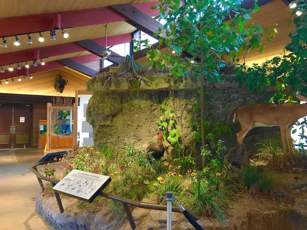 Explore the Travertine Nature Center in Chickasaw National Recreation Area as one of the things to do in Sulphur. 