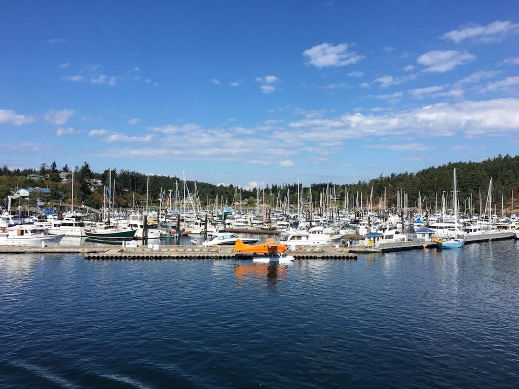 Explore Friday Harbor as one to the things to do on San Juan Island with kids. 