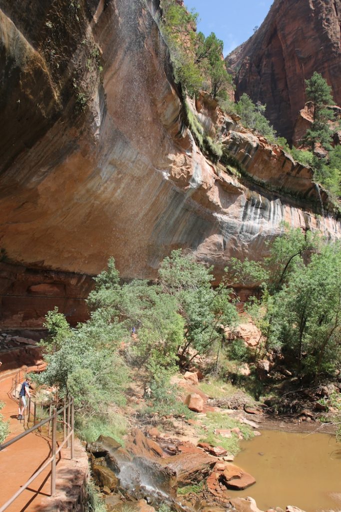 Hike in Zion National Park with kids.