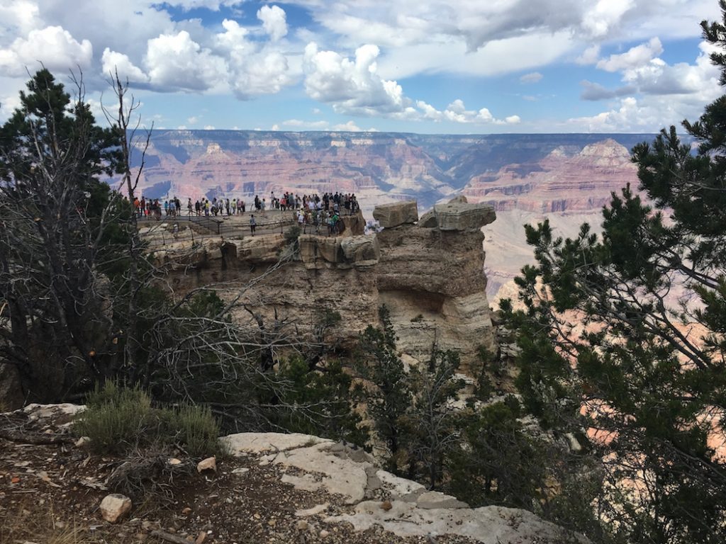 What to do at the Grand Canyon with kids. 