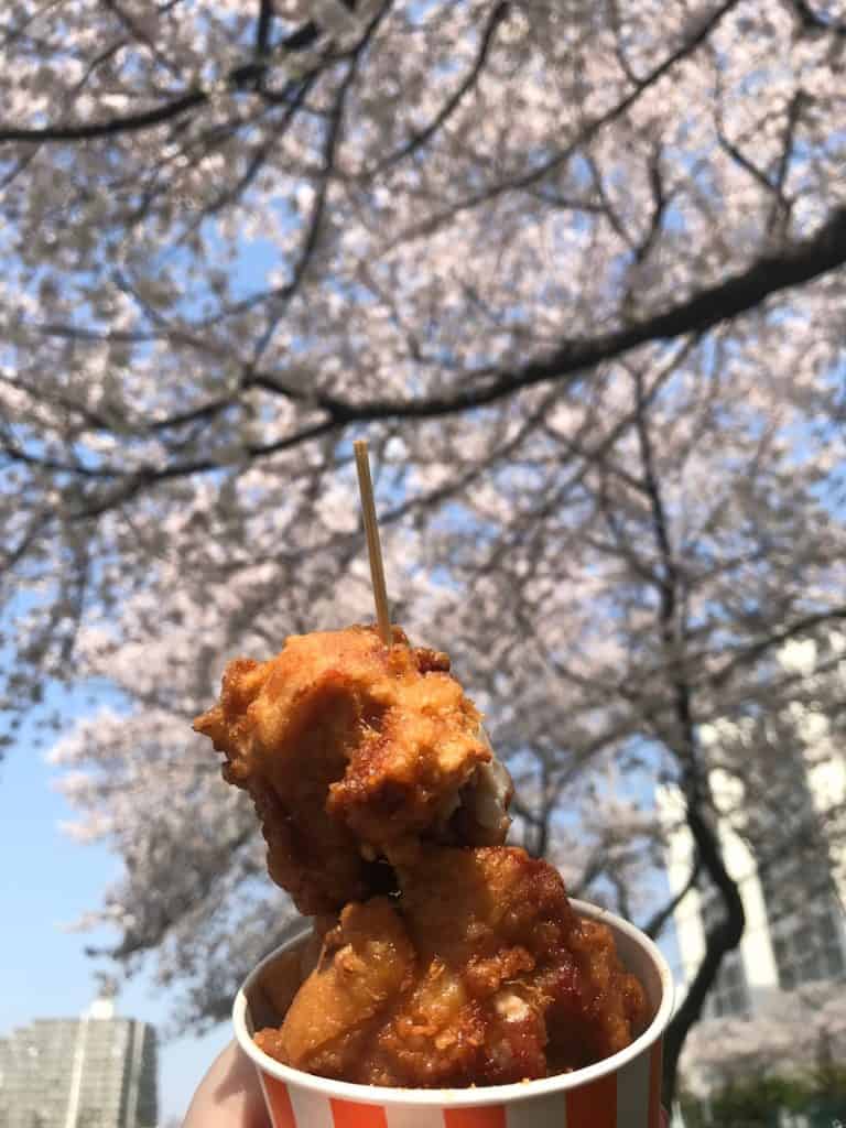 Where to see Cherry Blossoms in Tokyo with kids