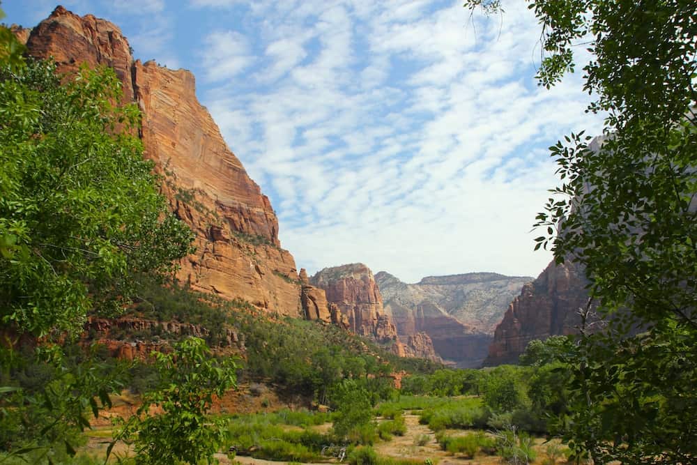 Zion National Park. Best National Parks for Fall Color 