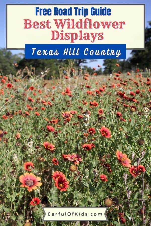 Take a drive down a Texas highway and find a hillside covered in wildflowers. Or spend the day in a Texas State Park exploring a wildflower meadow. Here's 15 places to explore to find Texas Wildflowers during the Spring. Where to find the best wildflowers in Texas | Where to find wildflowers in the Texas Hill Country #Texas #Wildflowers 