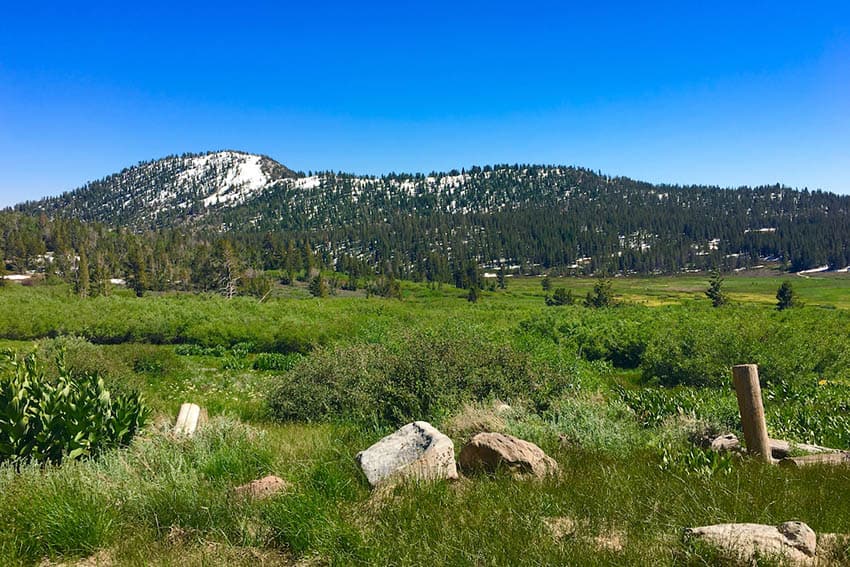 Humbolt Toiyabe National Forest. Things to do in Lake Tahoe with kids in Summer