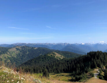 The Best 3 Day Itinerary for Olympic National Park