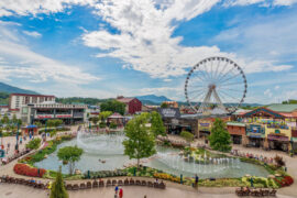The Island of Pigeon Forge