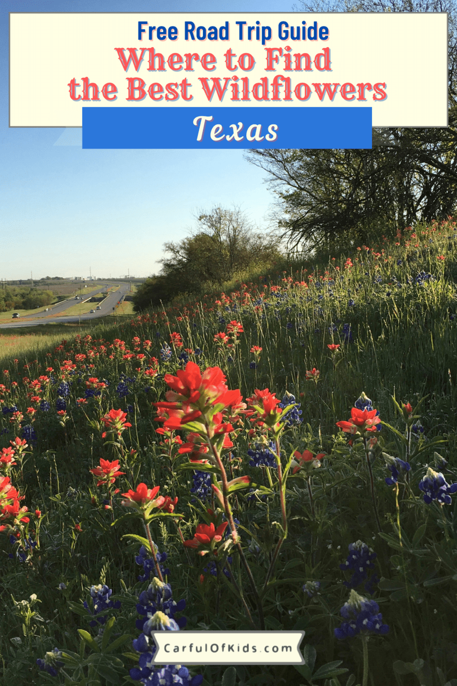 Take a drive down a Texas highway and find a hillside covered in wildflowers. Or spend the day in a Texas State Park exploring a wildflower meadow. Here's 15 places to explore to find Texas Wildflowers during the Spring. Where to find the best wildflowers in Texas | Where to find wildflowers in the Texas Hill Country #Texas #Wildflowers 