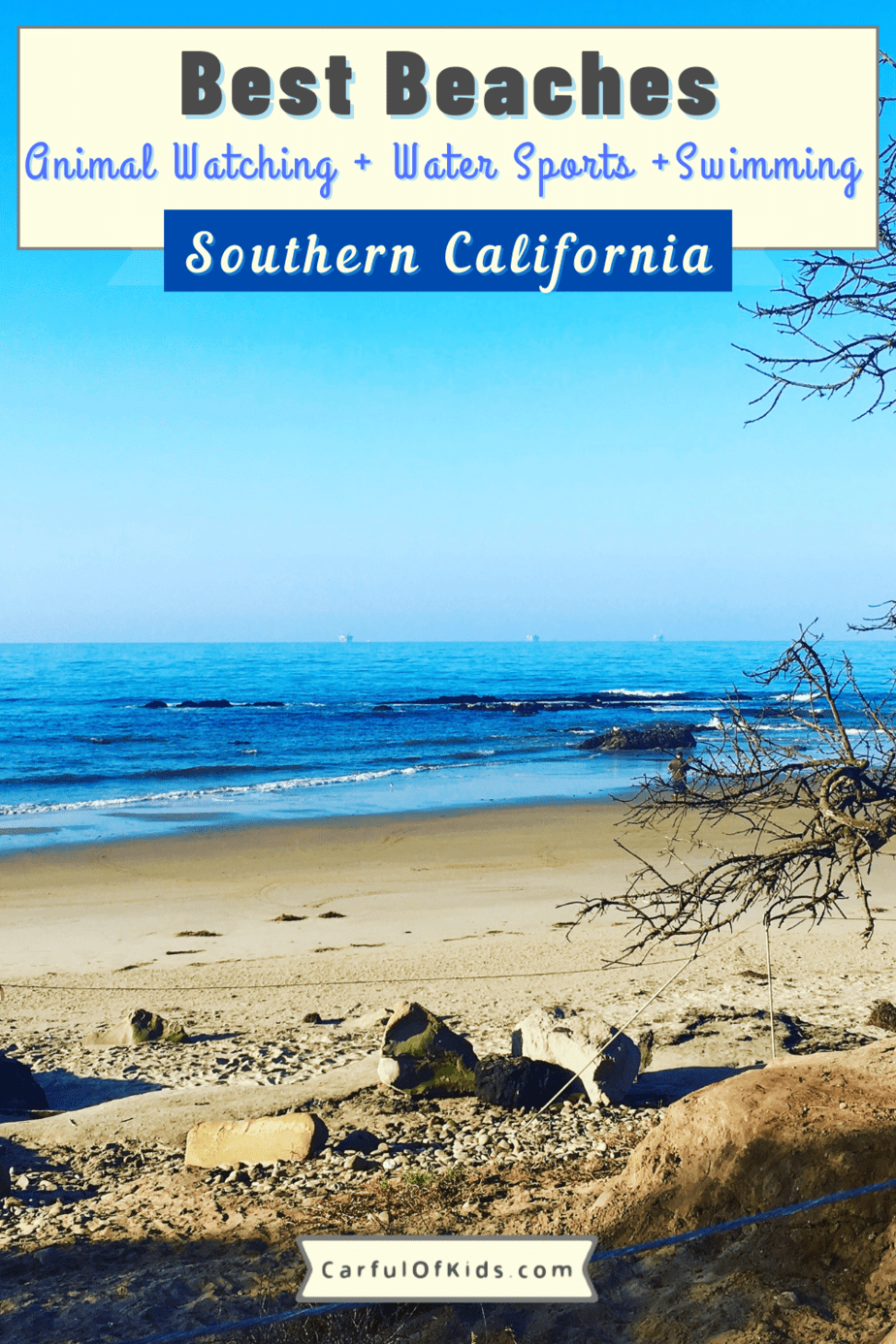 From San Diego to north of Santa Barbara, find beaches for shelling, surfing or strolling. Some offer beachfront campgrounds, one offers an amusement park, all offer lots of breezes and soothing waves. Find out the details of your next beach day. Best Beaches in California | Best Beaches in Southern Cali #Beaches 
