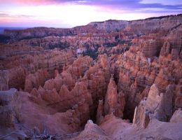Discover the pink spires at Bryce Canyon National Park. Photo Credit: National Park Service