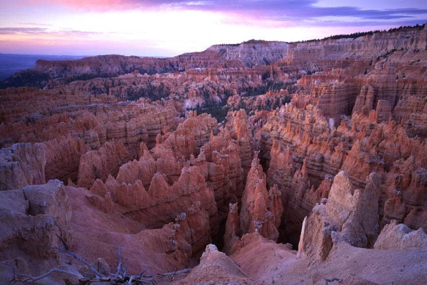 Discover the pink spires at Bryce Canyon National Park. Photo Credit: National Park Service
