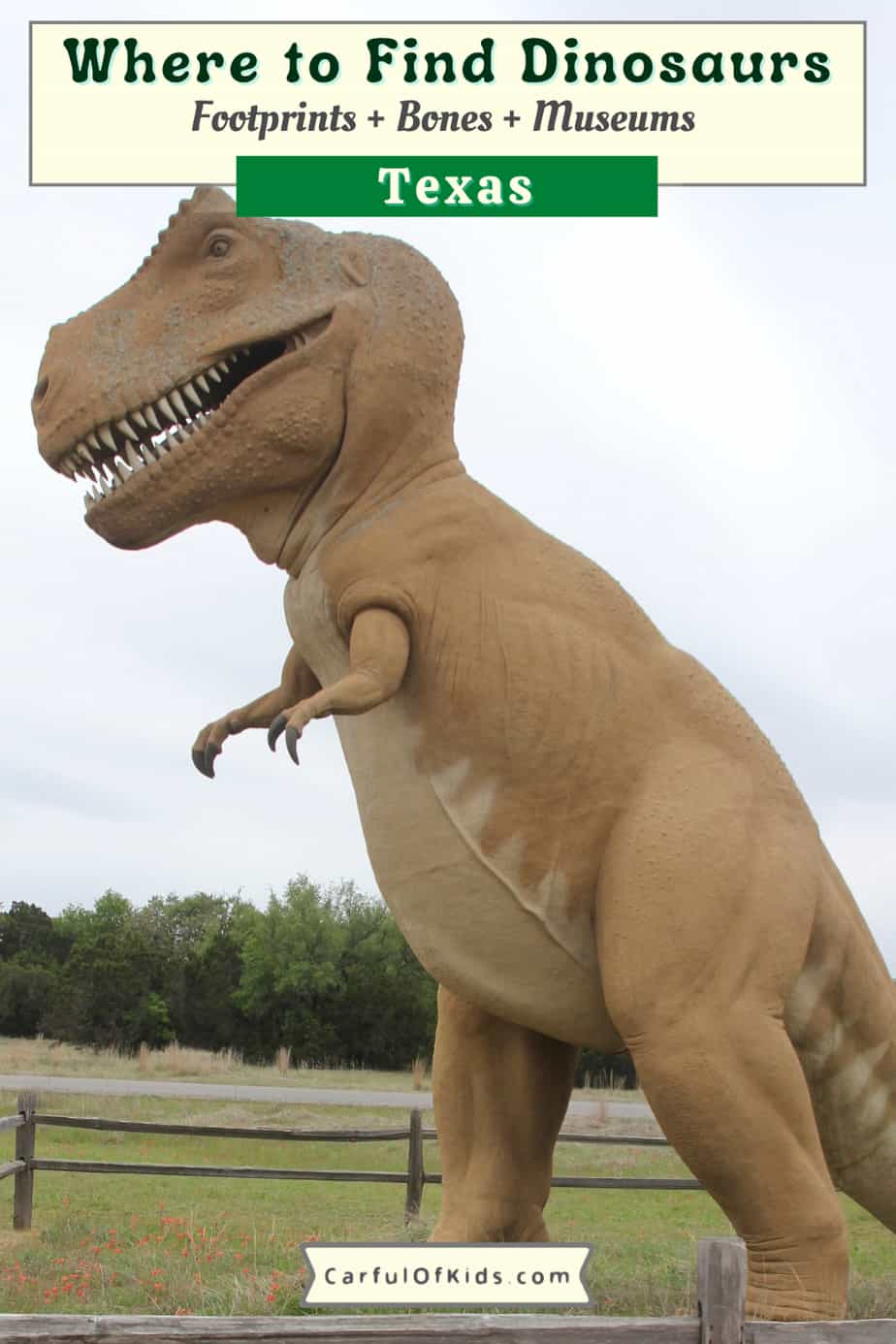 Find Dinosaurs marching across Texas from air-conditioned museums to sites that will get your feet wet. Learn about the dinosaurs of Texas and which Universities discovered dinosaurs. Where to find dinosaurs in Texas | Museums with Dinosaur exhibits in Texas | Dinosaur tracks in Texas #dinosaurs #Texas