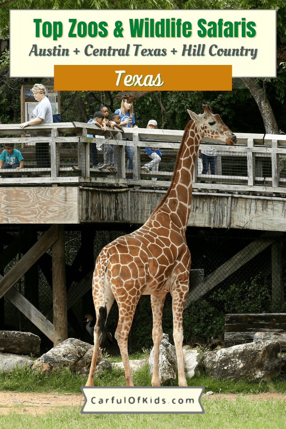 Load up and head out for a day dedicated to seeing and learning about animals in Central Texas. With traditional zoos, rescue zoos and wildlife safaris, visitors have more choices than ever. See animals native to Texas along with exotic animals. there is a lot to see across the Austin area and beyond. Best Zoos in Central Texas | Wildlife Safaris near Austin | Where to see animals in Texas | Family Day Trips outside of Texas #Zoos #Austin