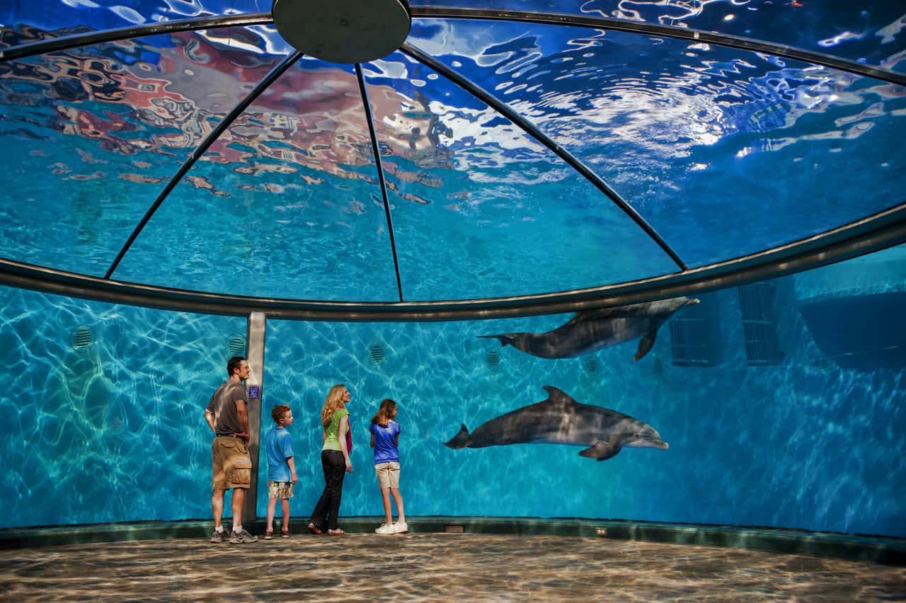 Indianapolis Zoo