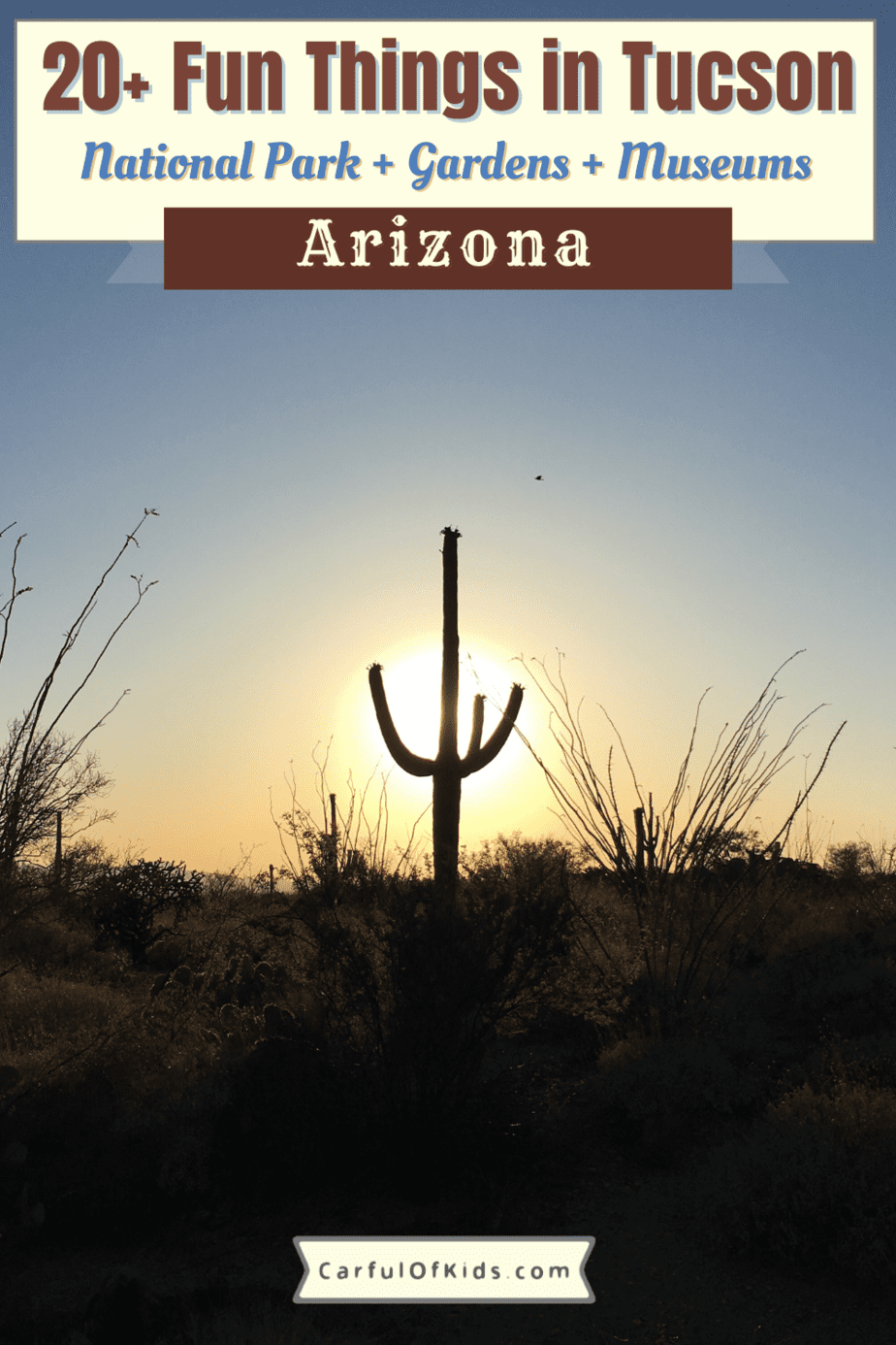 As the soul of the Sonoran Desert visitors find outdoor areas to explore, namely Saguaro National Park, in Tucson. Then travelers can experience the culture and history of Tucson from the Mission San Xavier del Bac to its art museums to the Pima Air and Space Museum. Here’s the top 22 things to do in Tucson Arizona on your desert southwest getaway. Top museums in Tucson | What to do in Tucson | Top Aviation Museums in the U.S. #Tucson #Arizona credit: Catherine Parker 
