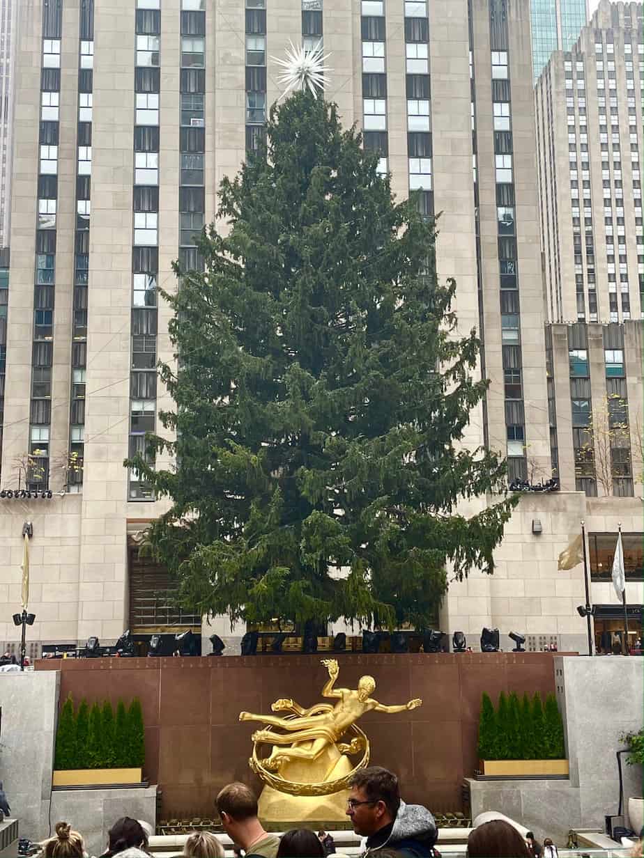 Rockefeller Plaza Tree 
