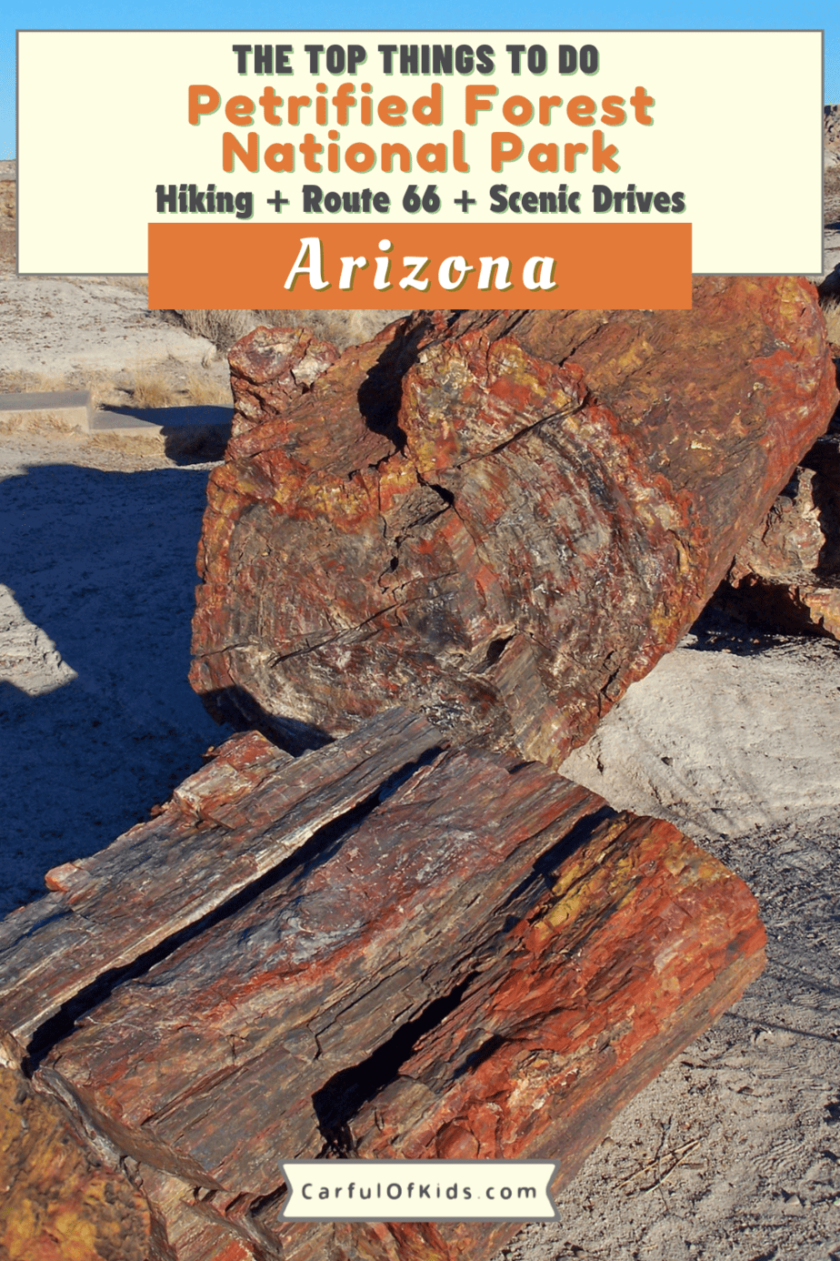 Located in Northern Arizona, explore Petrified Forest National Park to see crystal trees, the Desert Inn along with part of famed Route 66. As a drive through park, see the painted desert, do some hiking and grab a glimpse of desert animals. #NationalParks #Arizona 