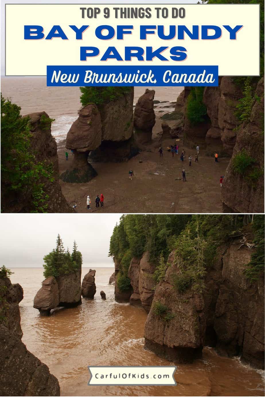 Head to the place with the largest tides in the world. Got all the details for your trip to Canada's Bay of Fundy in New Brunswick like where to stay and what to do. Top things to do at Fundy National Park. Where to walk on the ocean floor. Camping at the Funday National Park #Canada #Funday