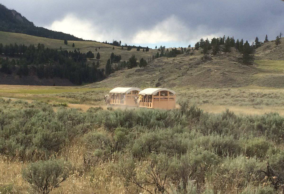Yellowstone Wagon Ride