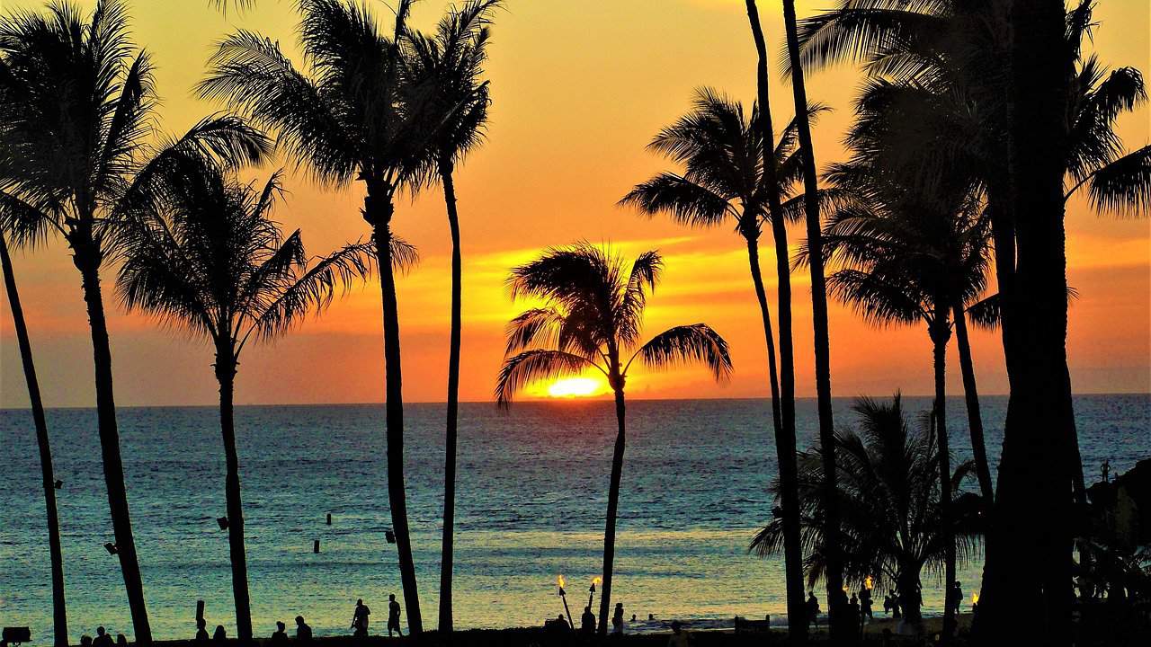  Maui beach.
