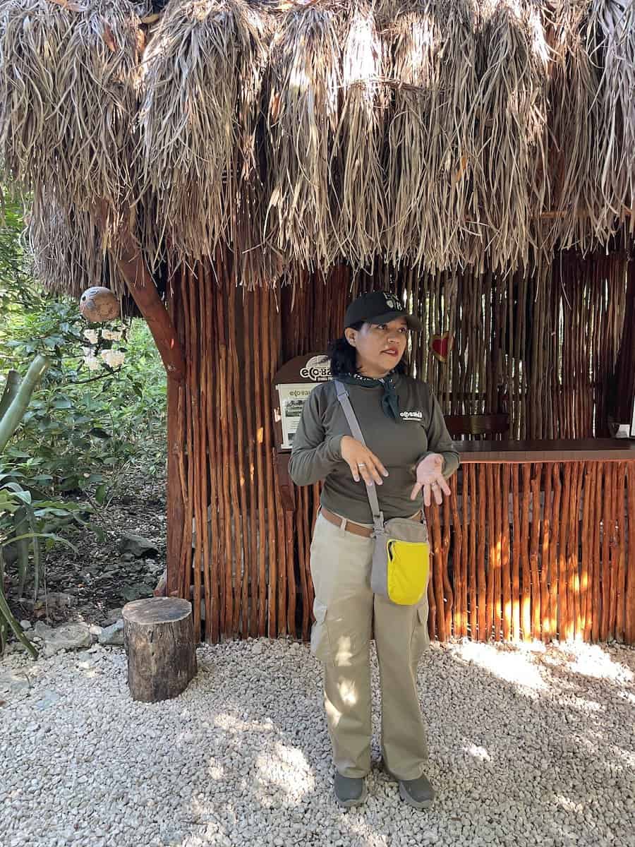 Eco Bahia