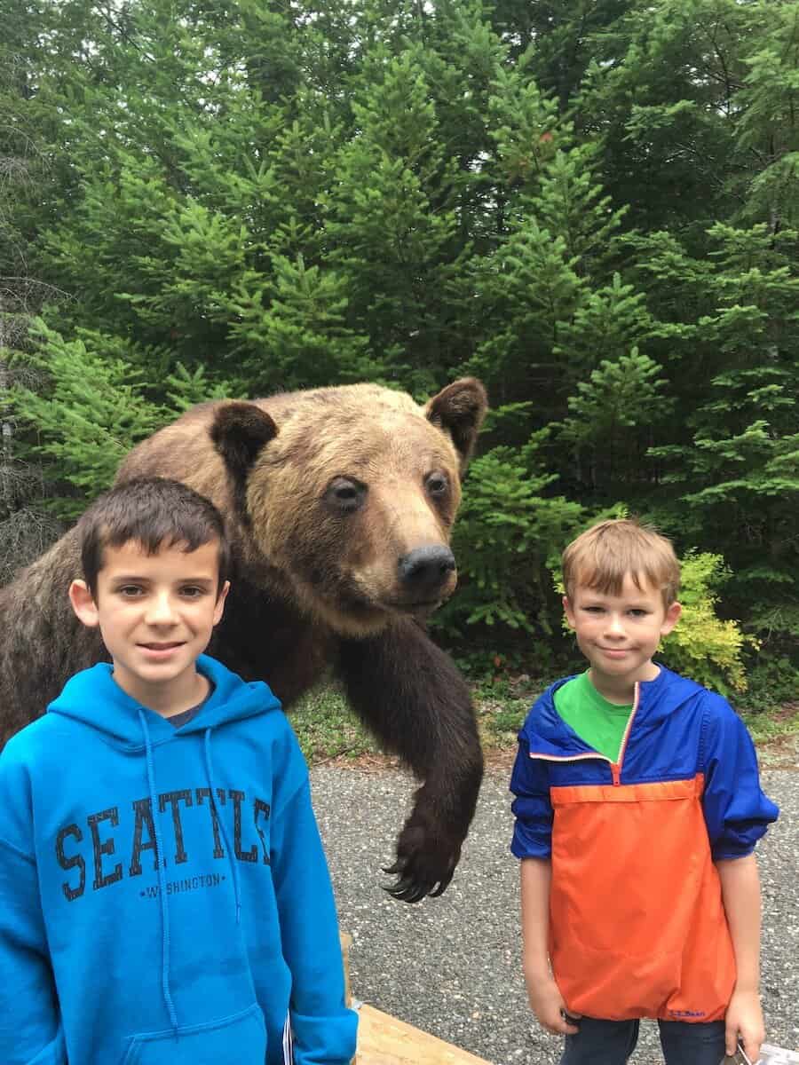 bear and 2 kids