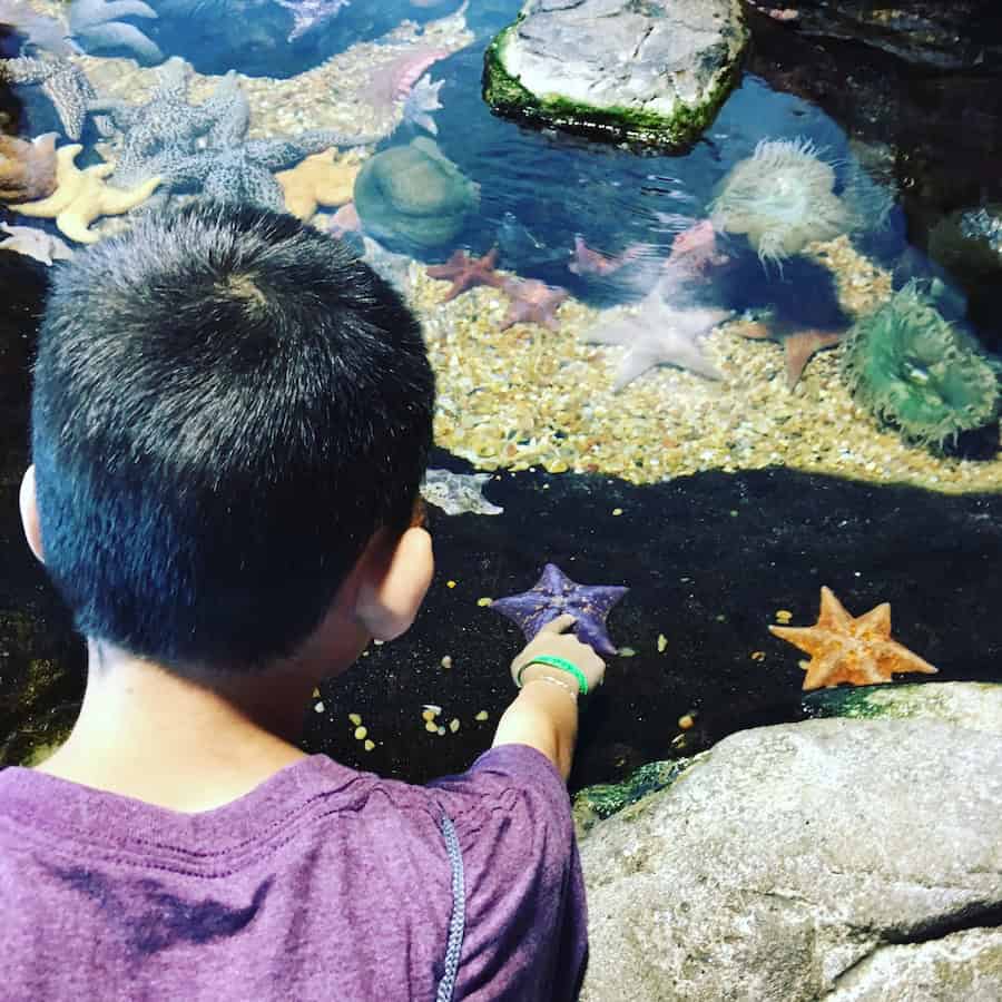 One of the exhibits at the Aquarium of the Bay