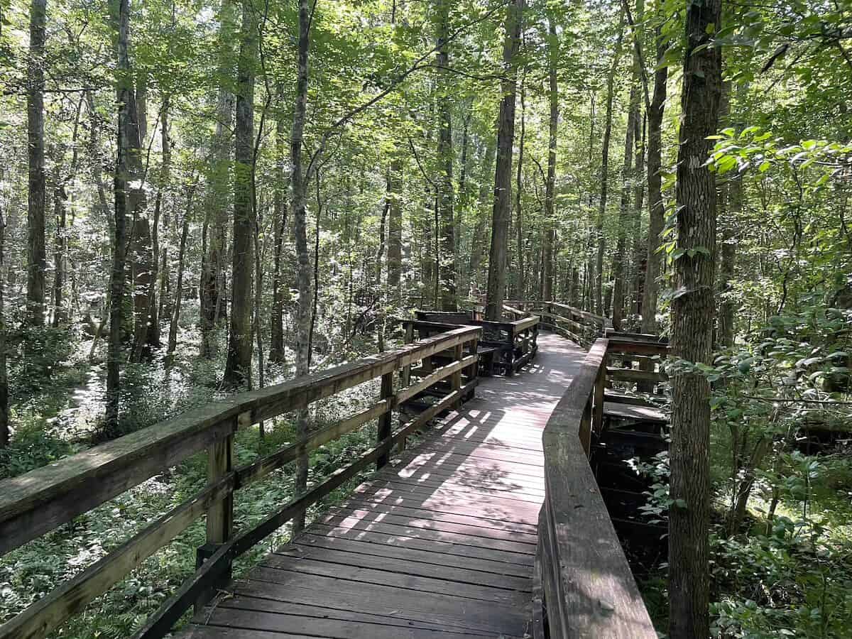 Congaree National Park boardwalk