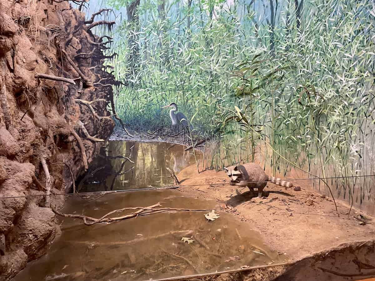 Congaree National Park Visitor Center