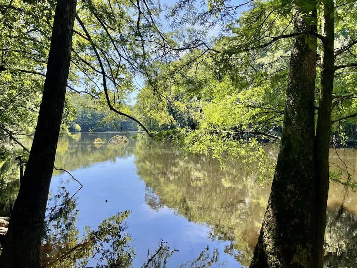 Congaree River