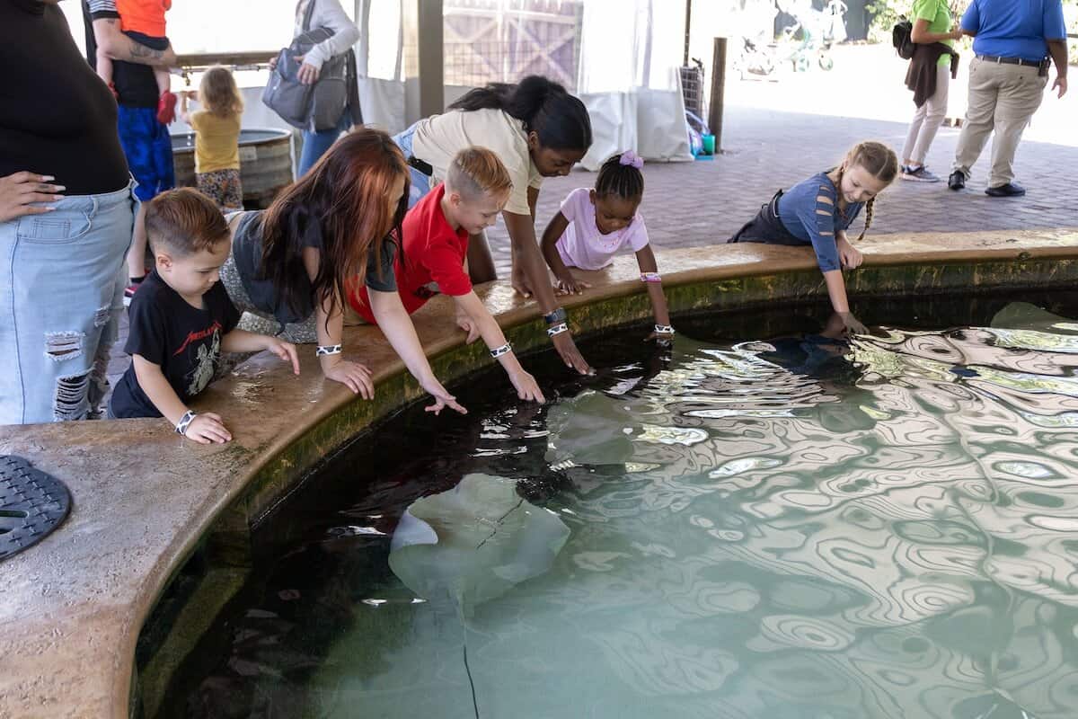 Jacksonville Zoo touch t tank