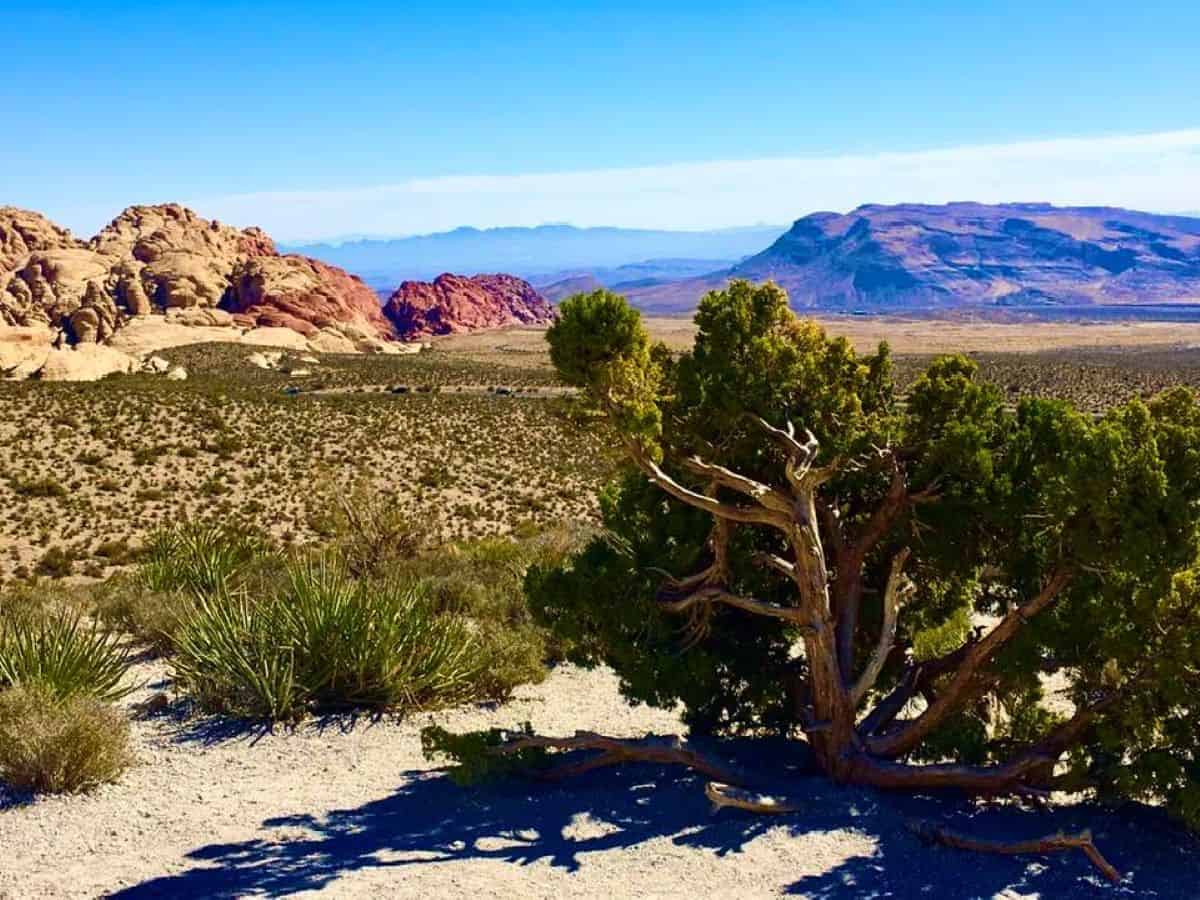 Red Rock Canyon National Conservation Area.