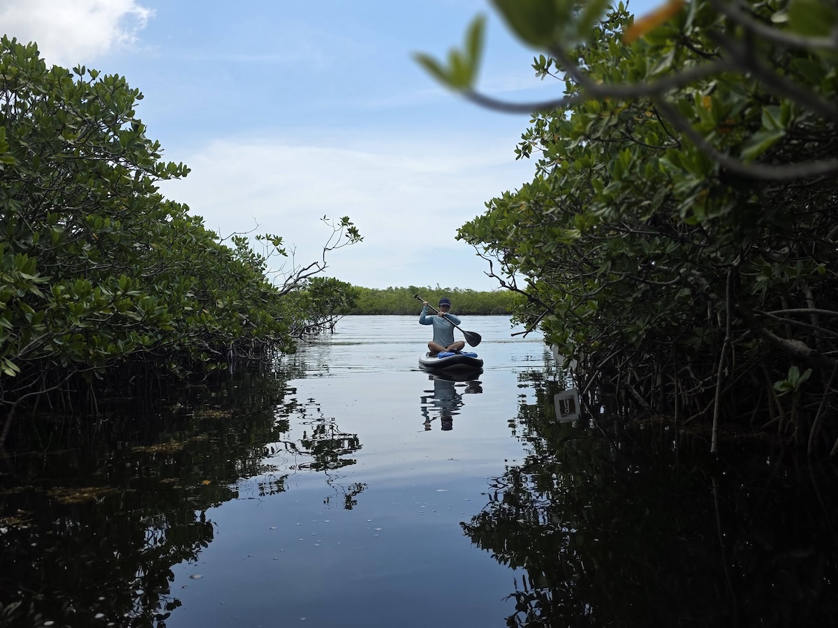 Miles-of-mangrove-lined-trails-Pennekamp