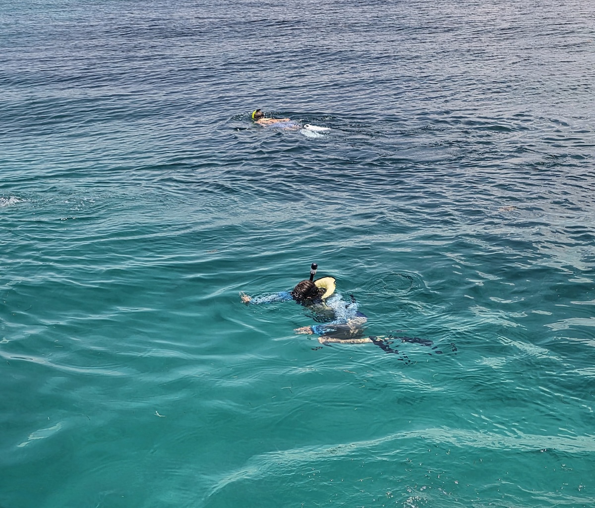 Snorkeling on the reef at John Pennekamp State Park,